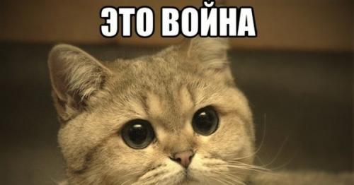 Продолжение.   Ещё один увлекательнейший квест нашей гоп-компании называется попробуй, сунься! 08 Продолжение.   Ещё один увлекательнейший квест нашей гоп-компании называется попробуй, сунься! 08