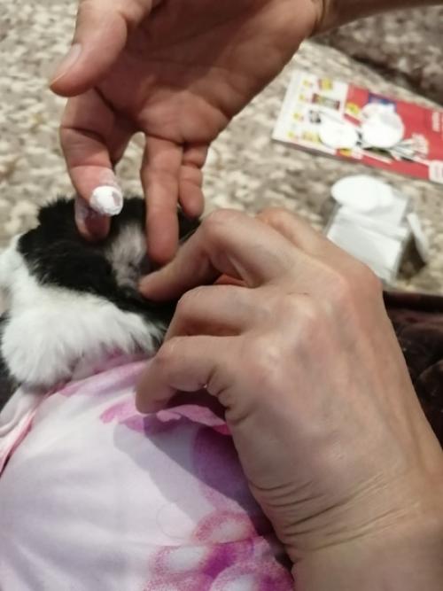 Продолжение.   Ещё один увлекательнейший квест нашей гоп-компании называется попробуй, сунься! 04 Продолжение.   Ещё один увлекательнейший квест нашей гоп-компании называется попробуй, сунься! 04