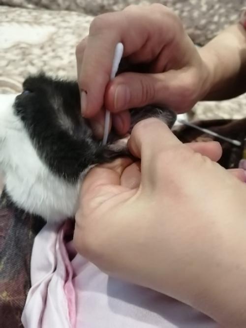 Продолжение.   Ещё один увлекательнейший квест нашей гоп-компании называется попробуй, сунься! 03 Продолжение.   Ещё один увлекательнейший квест нашей гоп-компании называется попробуй, сунься! 03