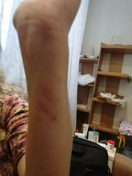 Продолжение.   Ещё один увлекательнейший квест нашей гоп-компании называется попробуй, сунься! 07 Продолжение.   Ещё один увлекательнейший квест нашей гоп-компании называется попробуй, сунься! 07