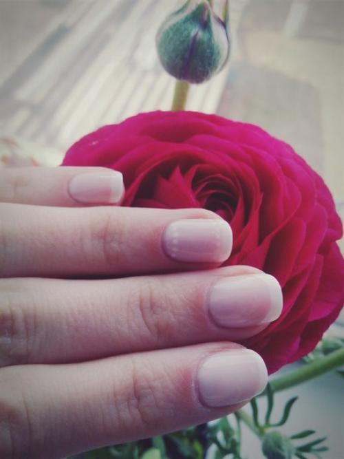 Девочки, всем доброго времени суток. 01 Девочки, всем доброго времени суток. 01