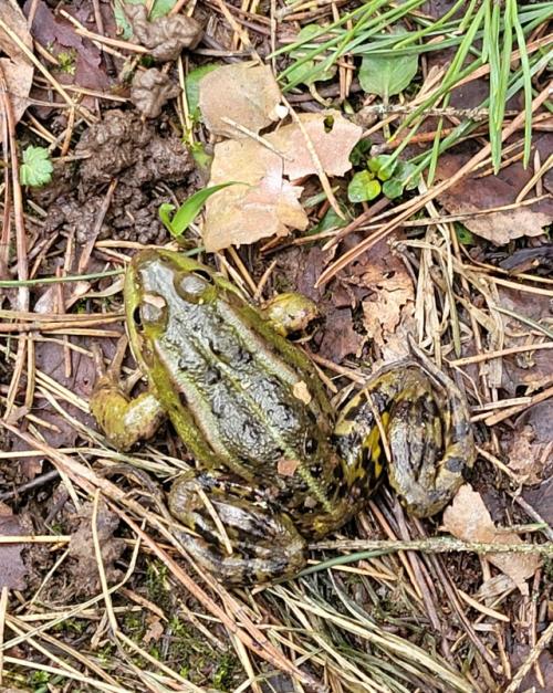 Иногда хочется вот такого. 08