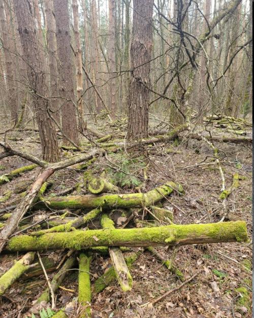 Иногда хочется вот такого. 03