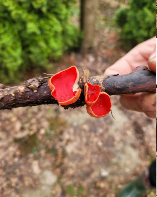 Иногда хочется вот такого. 09