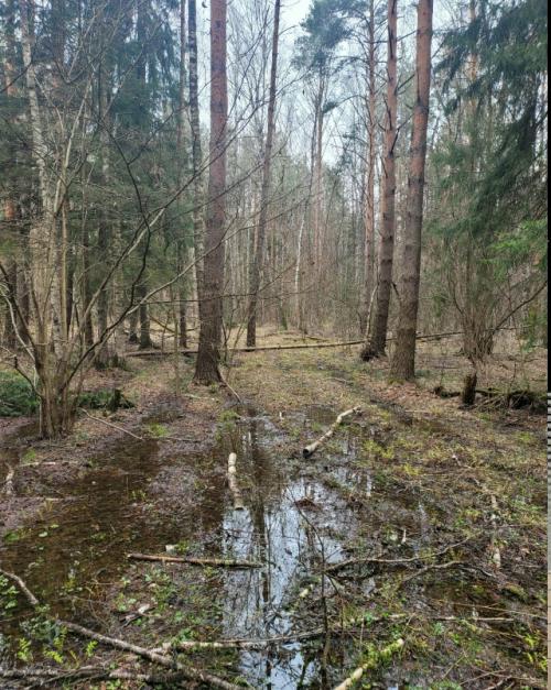 Иногда хочется вот такого. 04