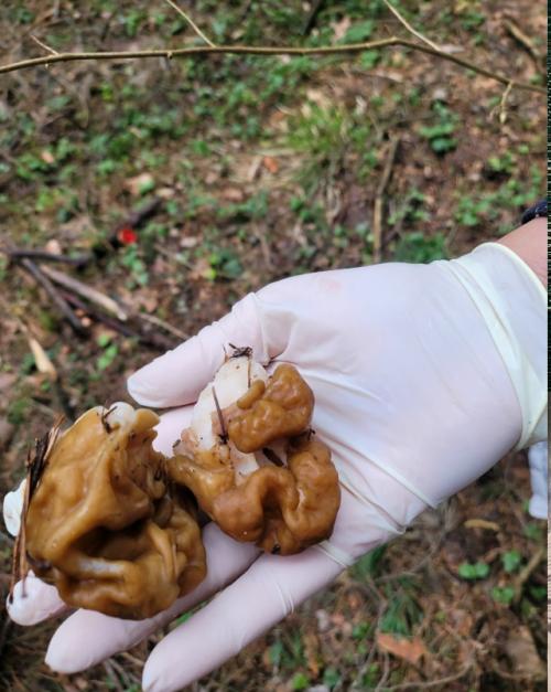 Иногда хочется вот такого. 06