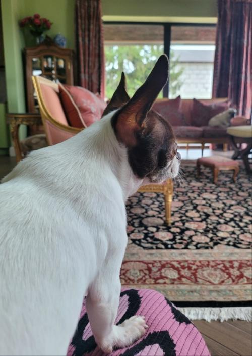 Иногда хочется вот такого. 01