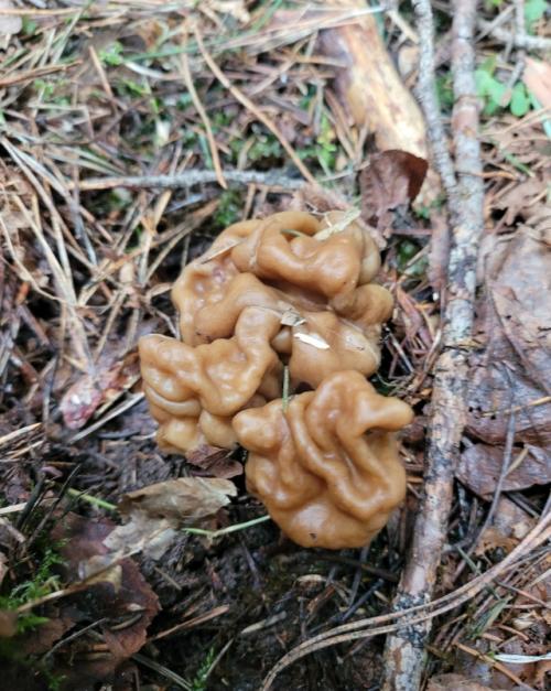 Иногда хочется вот такого. 05