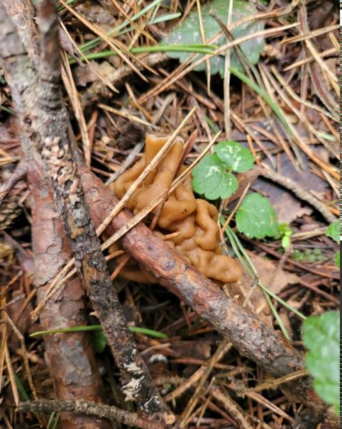 Иногда хочется вот такого. 07