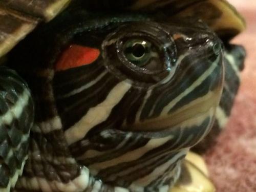 Анонимно пожалуйста?  Милые девушки? 05