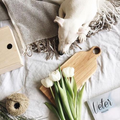 7 пунктов, которые вы легко воплотите в жизнь. 01