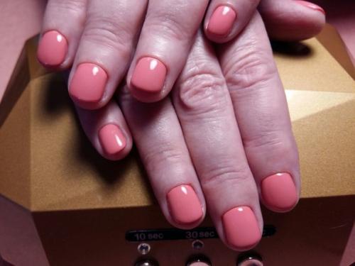 Оцените плиз!  Начинающий мастер, 1 месяц. 04