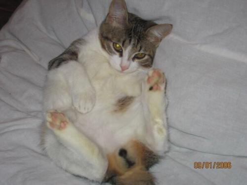 Анонимно пожалуйста?  Милые девушки? 04