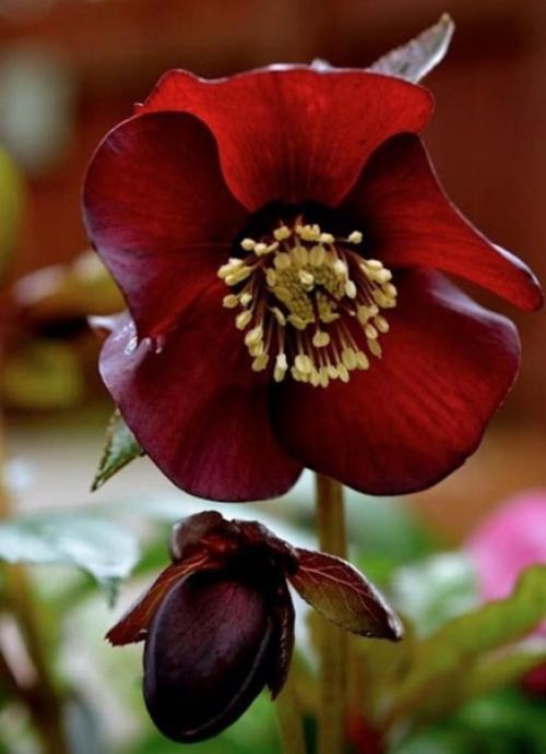 Секрет жизни в том состоит, чтобы ко всему относиться как можно легче. 01