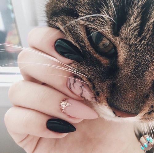 Идеи для вac. 01