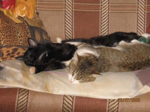 Анонимно пожалуйста?  Милые девушки? 03