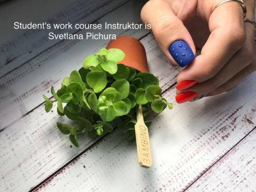 У меня все спрашивают - как я все успеваю? 01