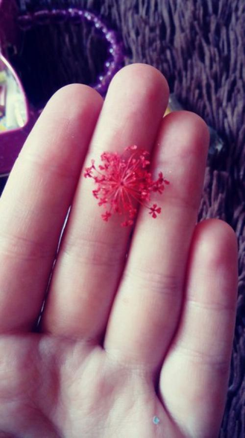 Девочки, SOS?  Подарили мне от такой набор для дизайна. 04