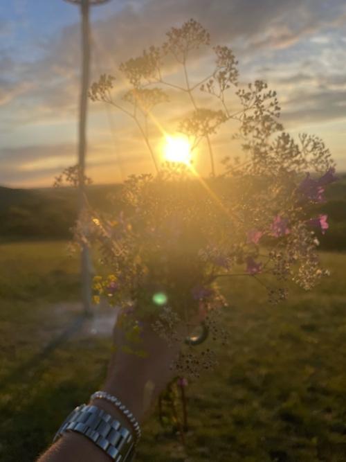 Месяц в деревне. Этот эксперимент как прививка. 04 Месяц в деревне. Этот эксперимент как прививка. 04