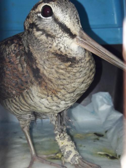 Вечер у Светы. 03 Вечер у Светы. 03