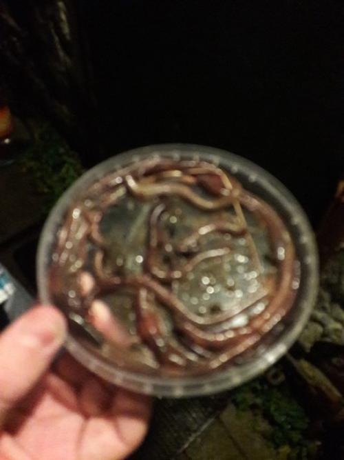 Вечер у Светы. 09 Вечер у Светы. 09