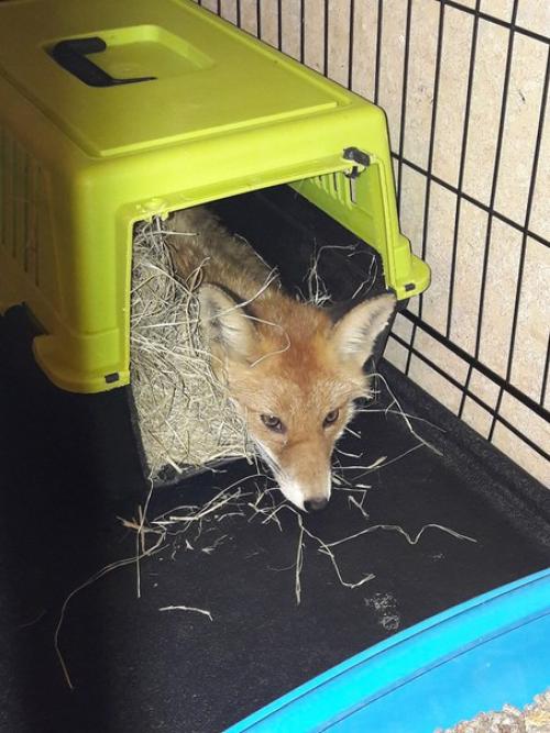 Вечер у Светы. 01 Вечер у Светы. 01