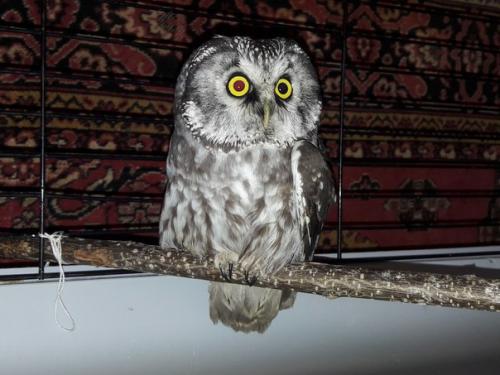 Вечер у Светы. 02 Вечер у Светы. 02