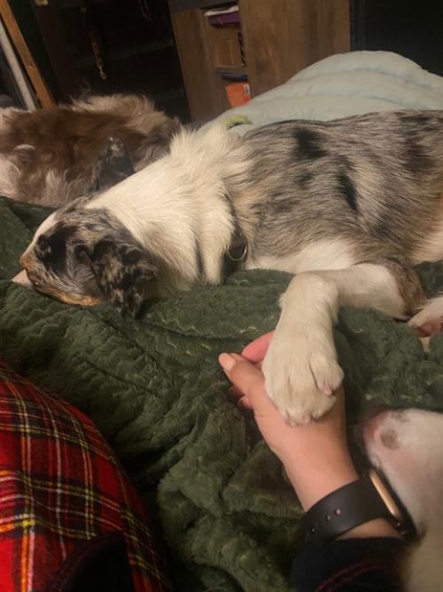 Чудесно прошли выходные! 05