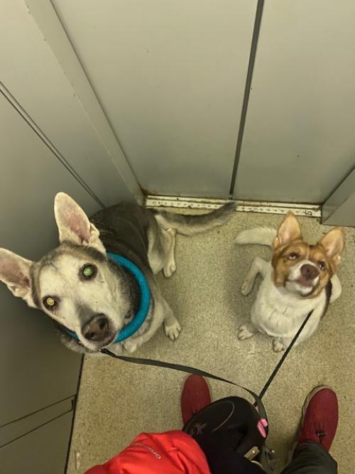 Чудесно прошли выходные! 04