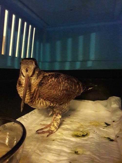 Вечер у Светы. 04 Вечер у Светы. 04