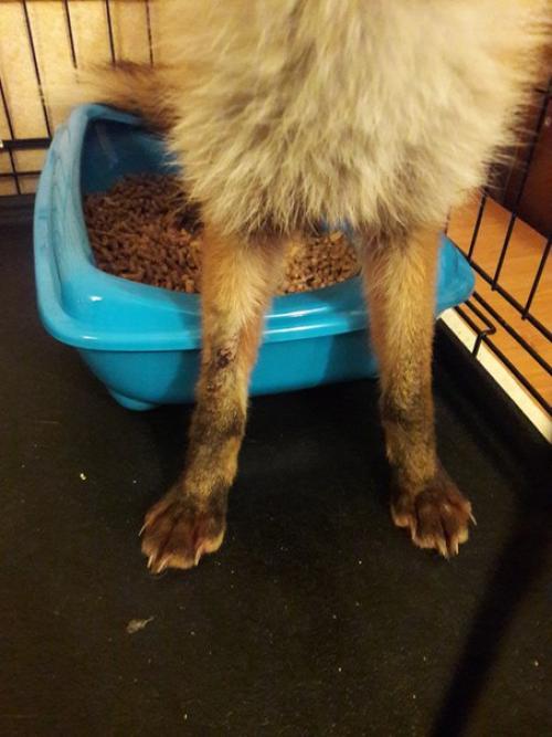 Вечер у Светы. 08 Вечер у Светы. 08