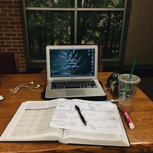 Cамый сложный выбор: куда пойти учиться? 01