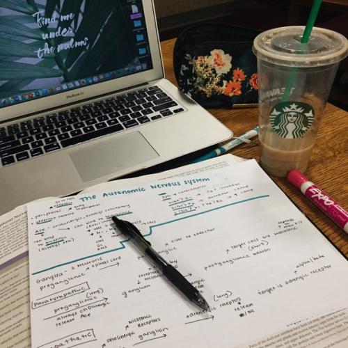 Cамый сложный выбор: куда пойти учиться? 03