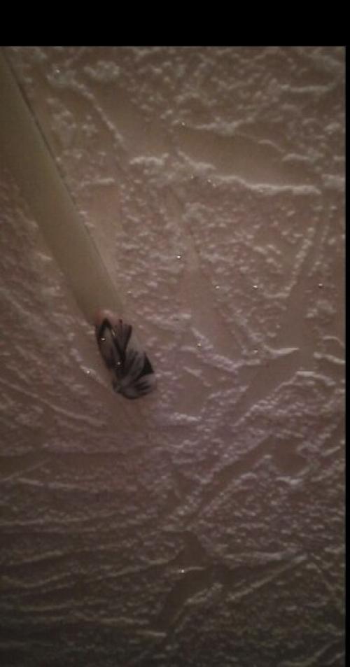 Месяц назад окончила курсы. 05