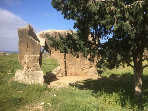 Я сдулась, иссякла, выдохлась. 01 Я сдулась, иссякла, выдохлась. 01