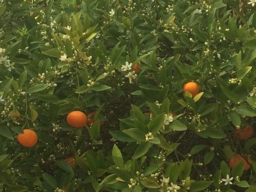 Я сдулась, иссякла, выдохлась. 09 Я сдулась, иссякла, выдохлась. 09