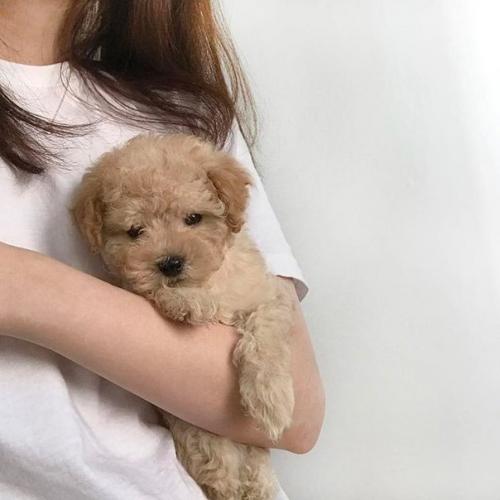 ? 7. Советов, которые помогут начать жизнь с чистого листа? 01