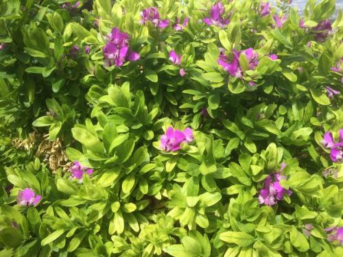 Я сдулась, иссякла, выдохлась. 06 Я сдулась, иссякла, выдохлась. 06