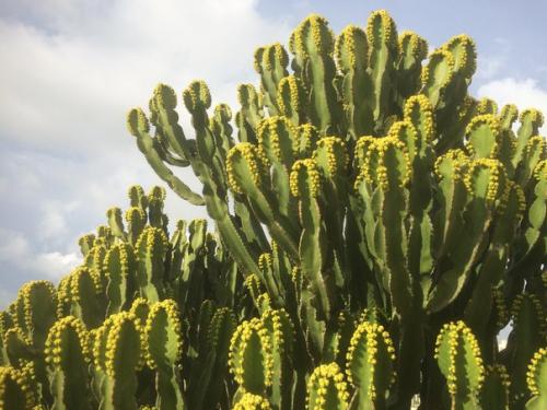 Я сдулась, иссякла, выдохлась. 08 Я сдулась, иссякла, выдохлась. 08