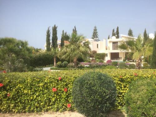 Я сдулась, иссякла, выдохлась. 05 Я сдулась, иссякла, выдохлась. 05