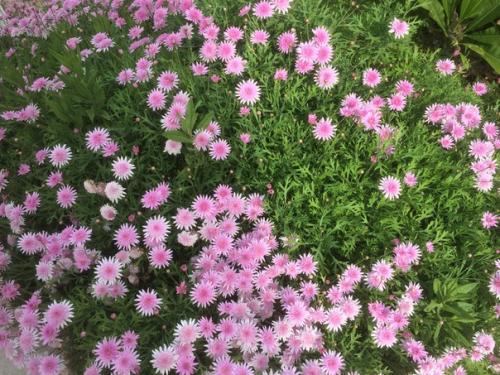 Я сдулась, иссякла, выдохлась. 07 Я сдулась, иссякла, выдохлась. 07