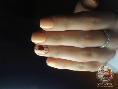 Девочки, хочу критики? 01