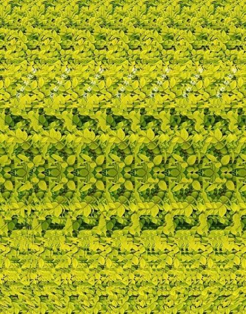 Второе апреля.  Карантин. 04