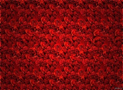 Второе апреля.  Карантин. 05