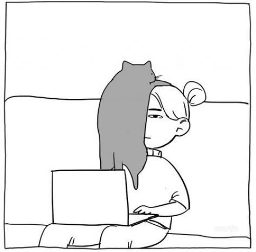 Когда кот не даёт полностью насладиться вечерним просмотром новых дизайнов. 04