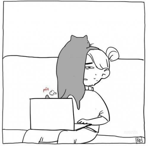 Когда кот не даёт полностью насладиться вечерним просмотром новых дизайнов. 05