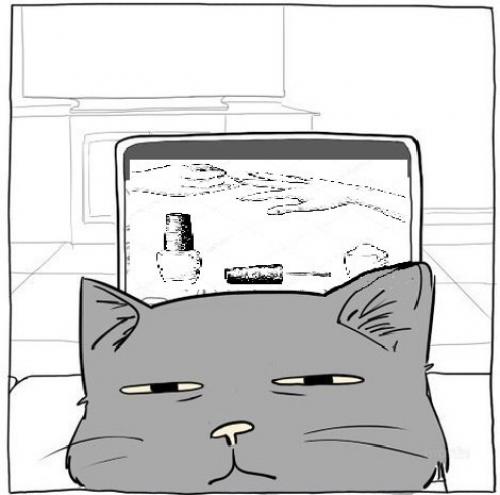 Когда кот не даёт полностью насладиться вечерним просмотром новых дизайнов. 02