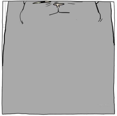 Когда кот не даёт полностью насладиться вечерним просмотром новых дизайнов. 03