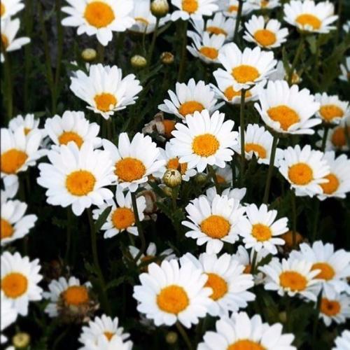 A мне не нaдо многого для счaстья. 02