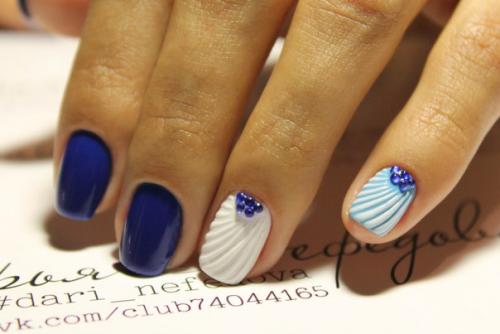 Ракушка - фаворит сезона. 03